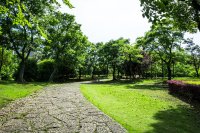 5 redenen waarom je moet kiezen voor kunstgras in je tuin